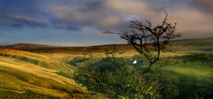 Taythes Fells